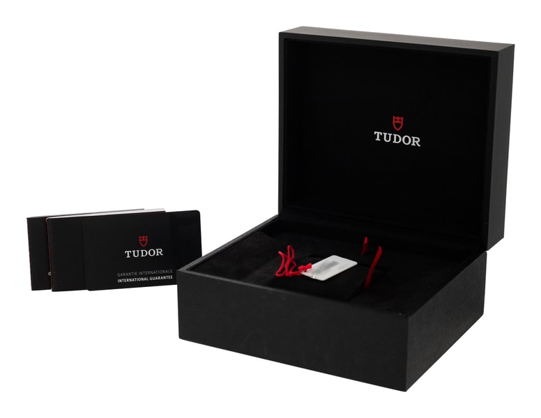 Tudor Black Bay 58 M79010SG-0002